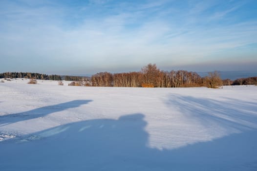 Lots of snow in nature, with trees and blue sky in the high Rhoen, Hesse, Germany
