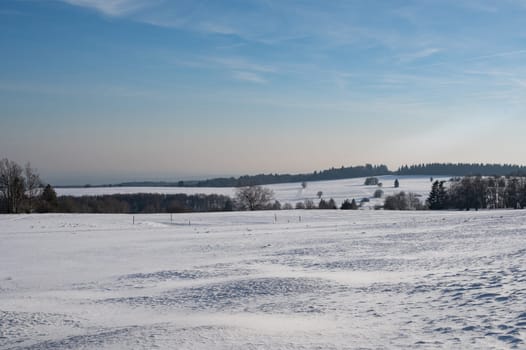Lots of snow in nature, with trees and blue sky in the high Rhoen, Hesse, Germany