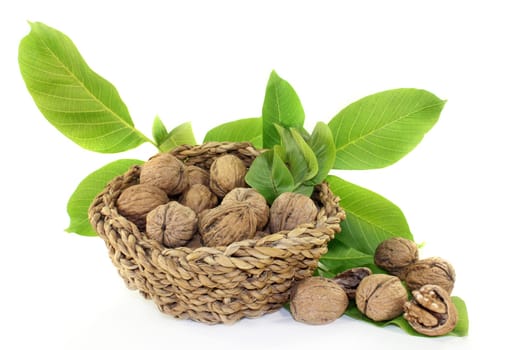 Walnut with walnut leaves against a bright background