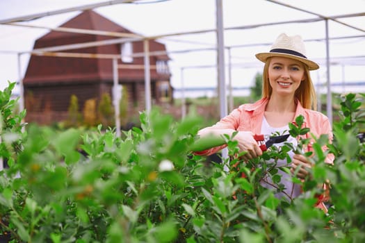 Happy gardener looking at camera while cutting leaves of small trees