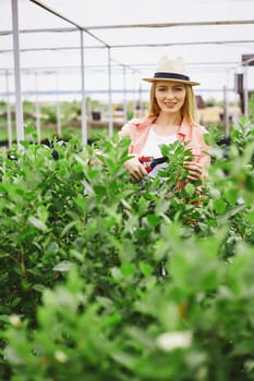 Young gardener cutting leaves of small trees