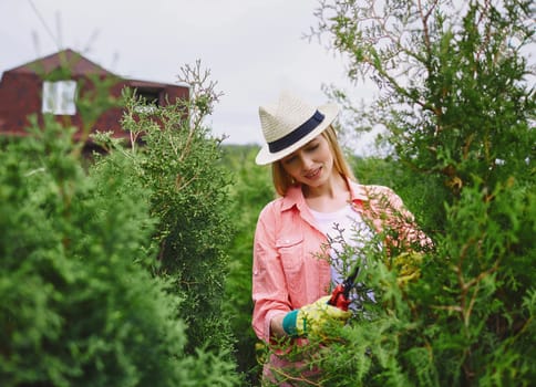 Young woman taking care of thuja in the garden
