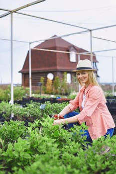 Pretty farmer cutting green plants in the garden