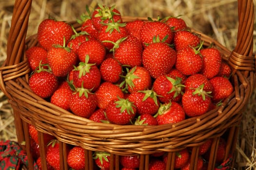 Strawberries in a basket