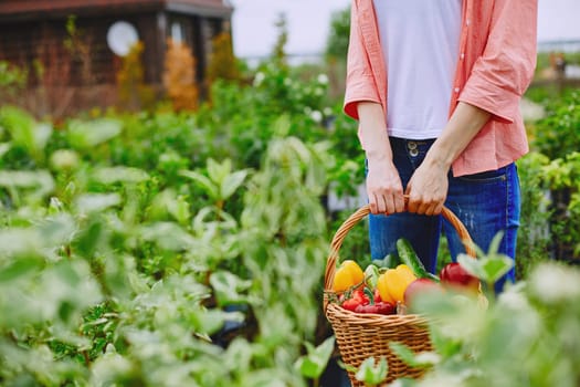 Basket with various vegetables held by female farmer