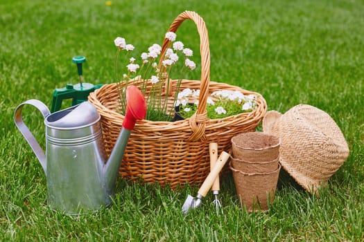 Basket with white flowers and gardening equipment on green lawn