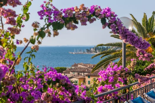 Flowering tree against a deep blue sky, Fantastic vacation. Garda. Italy