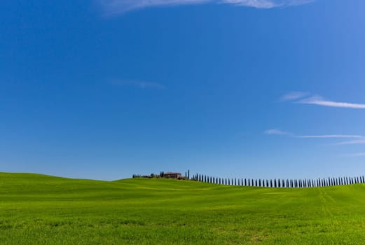 A Tuscan farmhouse with cypresses in summer