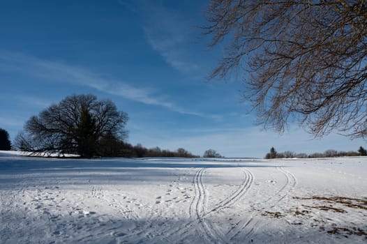 Winter landscape with lots of snow and with tree branches in the foreground, in the high Rhoen, Hesse, Germany