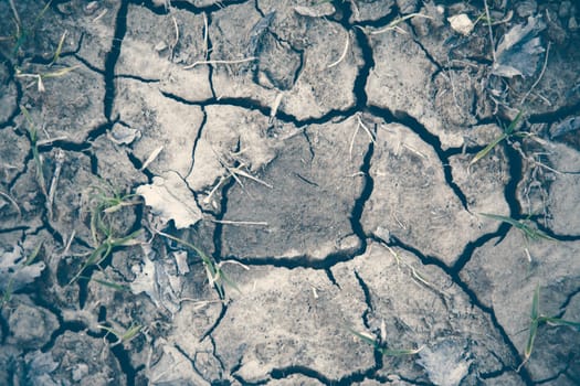 Cracked earth on dray season. Image can be used as background or pattern.