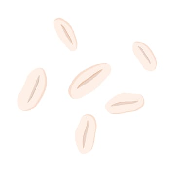 Peanut. Peanut bean isolated. nuts.vector illustration isolated on white background.