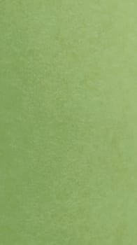 A vertical sheet of light green paper. Calm green with fine paper texture. Soothing interior color. Nice fleecy surface. Copy space.