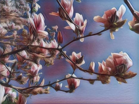 Beautiful blossoming pink flowers and magnolia buds on branches without leaves. Blue sky and sunlight. Wedding invitation or greeting card from March 8. The beginning of spring. Delicate white petals.