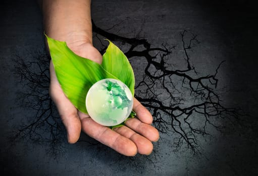 Human hands holding a green globe of planet Earth on leaves over tree and grey background