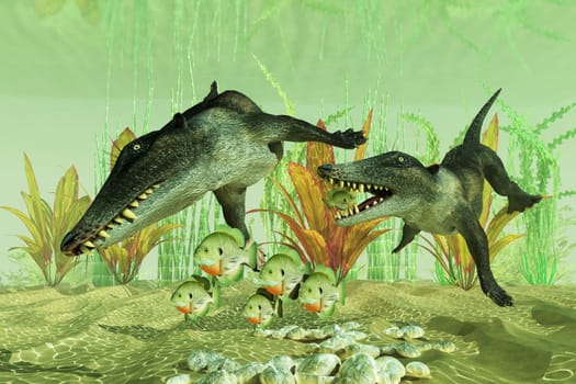 Ambulocetus was an early whale that could walk on land and swim in water during the Eocene Period.