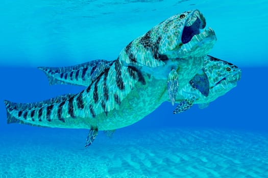 Dunkleosteus was a carnivorous placoderm fish that lived in the seas of the Devonian Period.