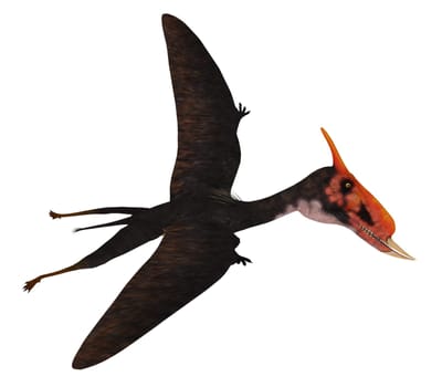 Dsungaripterus was a Pterosaur raptor bird that lived in China during the Cretaceous Period.