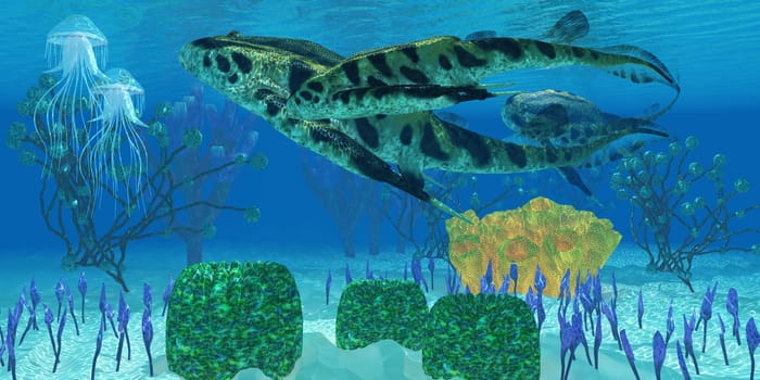 Bothriolepis was a carnivorous marine fish that lived in the waters of the Devonian Seas.