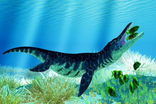 A school of Lemonpeel Angelfish try to get away from a Liopleurodon Plesiosaur near a tropical reef.