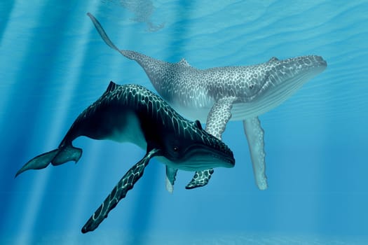 Two whales bask in the sunlit warm waters of the tropical ocean.