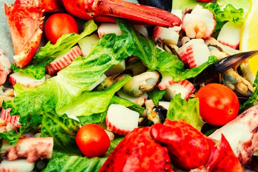Tasty salad of oysters, mussels, lobster, lettuce and vegetables. Food background