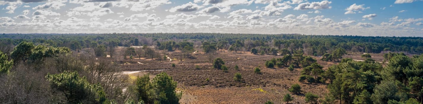 Moody High angle panorama view on Kalmthout Heath in Flanders, Belgium