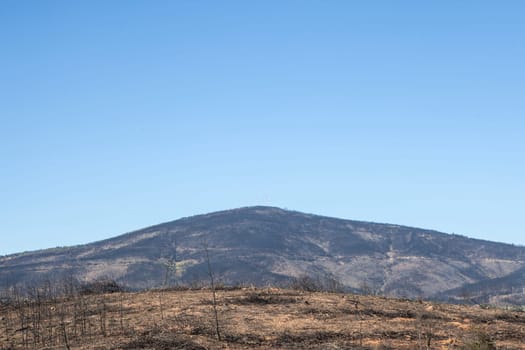 Bare and fire-scorched hills by fire. Former forest destroyed by wildfire