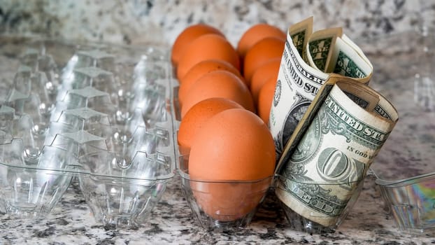 Brown eggs in plastic container with american paper money