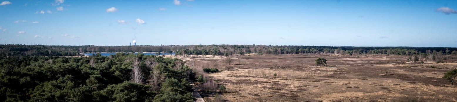 Moody High angle panorama shot of Kalmthout Heath in Flanders, Belgium