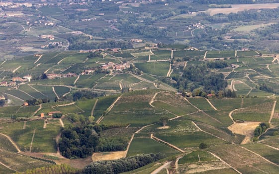Langhe vineyards near Barolo and La Morra, Unesco Site, Piedmont, Italy