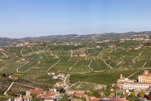 Langhe vineyards near Barolo Unesco Site, Piedmont, Italy