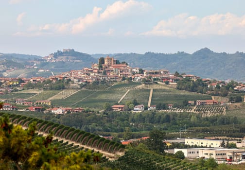 Langhe vineyards near Grinzane Cavour. Unesco Site  Piedmont  Italy