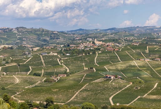 Langhe vineyards near Barolo and La Morra, Unesco Site, Piedmont, Italy