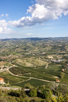 Langhe vineyards near Barolo and La Morra, Unesco Site, Piedmont, Italy