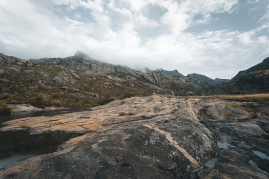Andringitra national park, Haute Matsiatra region, Madagascar, beautiful mountain landscape,in front of trail flowers, high peak in mist and fog. Hiking in mountains. Madagascar wilderness landscape.