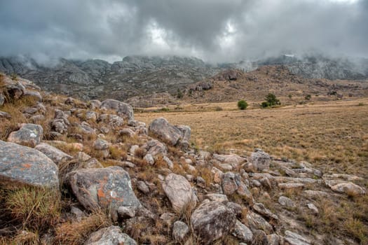 Andringitra national park, Haute Matsiatra region, Madagascar, beautiful mountain landscape,in front of trail flowers, high peak in mist and fog. Hiking in mountains. Madagascar wilderness landscape.