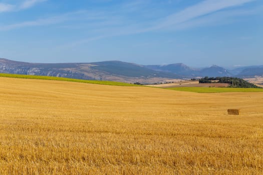 view of a crop field in the north of Spain