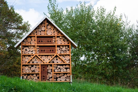 insect, house, hotel, protection, ecology, environment, wildlife, ladybugs