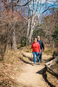 Senior couple is hiking in the woods in North Carolina in fall