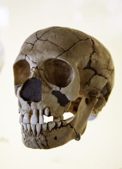 Detail of prehistory and evolution of humanity, archeology