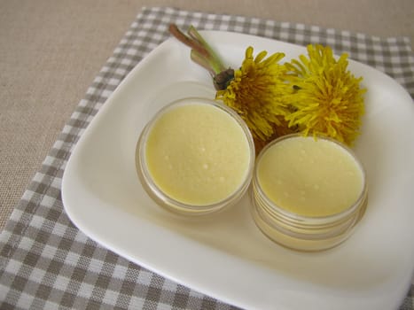 Homemade dandelion ointment, salve with an oil extract of dandelion flowers