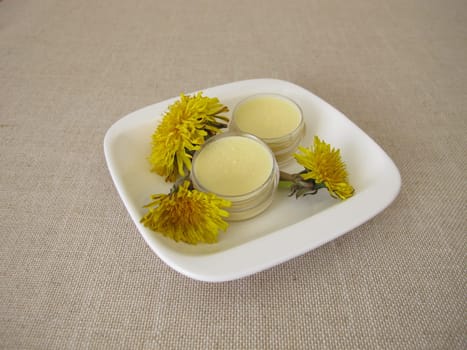 Homemade dandelion ointment, salve with an oil extract of dandelion flowers