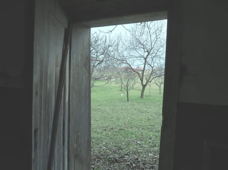 old wooden open door. Crib doors, stall for livestock or garage. Wooden beams and doorway. Spring greens from the door. Doorway to the unknown.