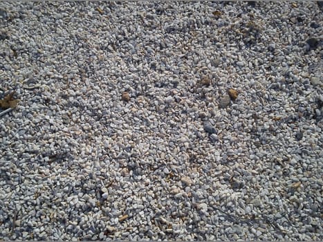 white small pebbles in natural morning sunlight. Rare leaves of trees faded. The texture of the stone with a rough surface