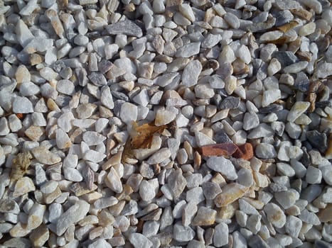 White shallow pebbles in natural morning sunlight. Rare leaves of trees lie on the stones. The texture of the stone with a rough surface and light scratches.