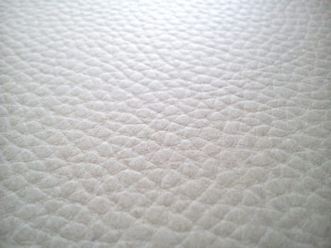 Closeup of pig's skin painted green. Skin imitation.
