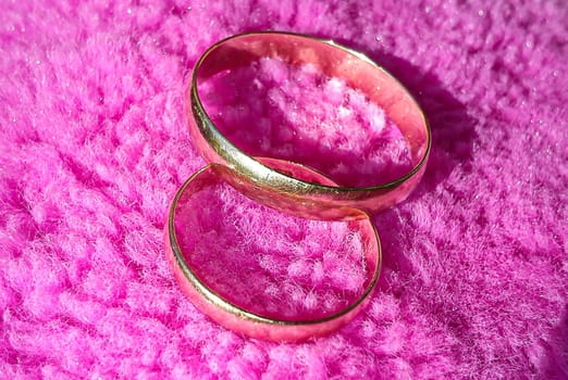 two gold rings, male and female, on a pink shaggy background