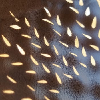 Sunbeams reflecting the sun through a stencil. Beige genuine leather texture on the sole of summer sandals. Ergonomic indentation in the insole to prevent flat feet.