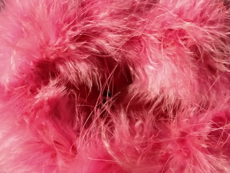 Pink faux fur or pink colored natural bird feathers close-up. Light feathers boa. Delicate texture. Greeting card Happy Valentines Day. Collar from a women's or girl's jacket. Bright pink or color.