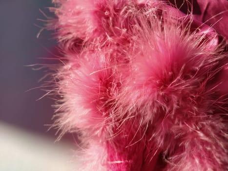 Pink faux fur or pink colored natural bird feathers close-up. Light feathers boa. Delicate texture. Greeting card Happy Valentines Day. Collar from a women's or girl's jacket. Bright pink or color.